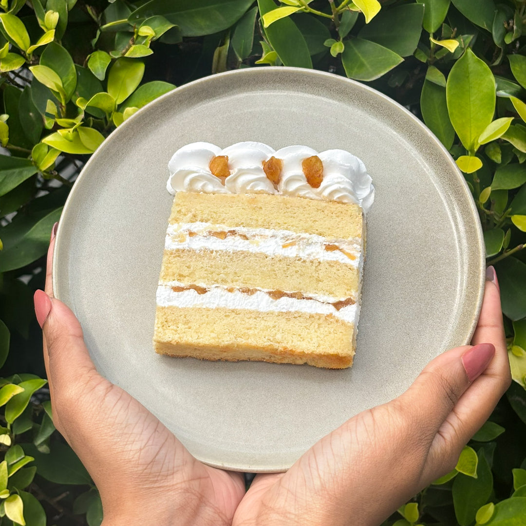 Apple Spice  (2 slices) (Dec flavor)