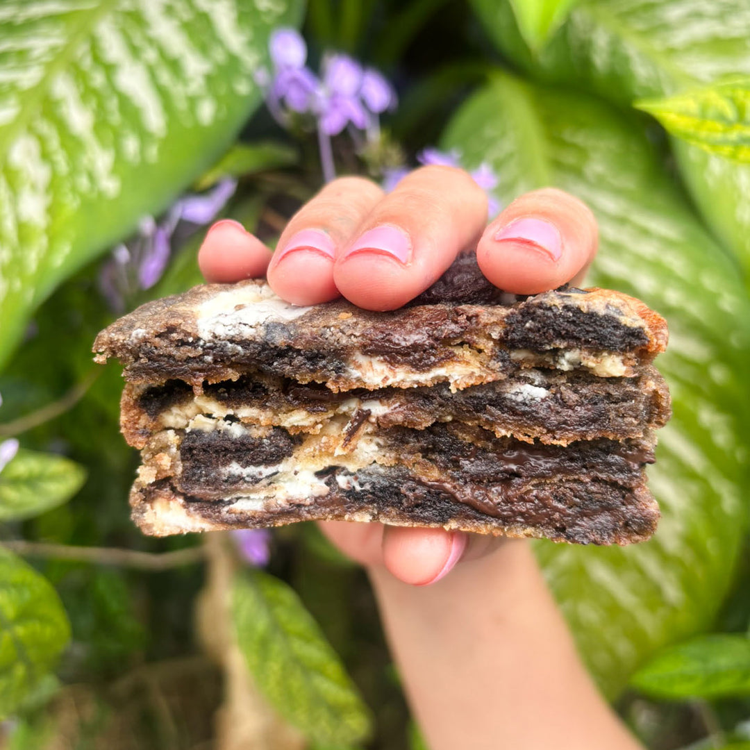 Cookies n’ Cream (4 cookies) (May flavor)